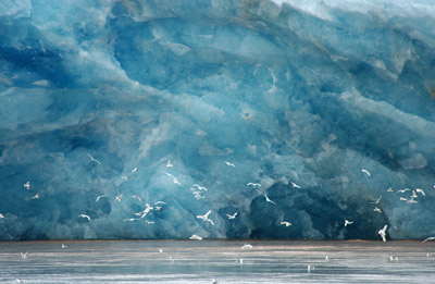 Glacier, Svalbard - 5