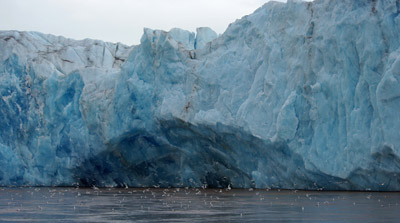 Glacier, Svalbard - 9