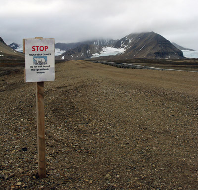 Ny Alesund, Svalbard - 7 - Beware of the Bears