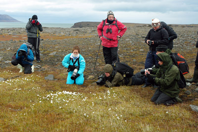 Svalbard Cruise - Photography of Little Things