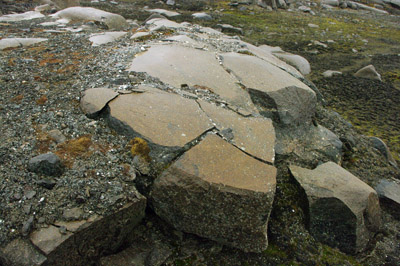 Frost Cracked Rock - Svalbard - 2