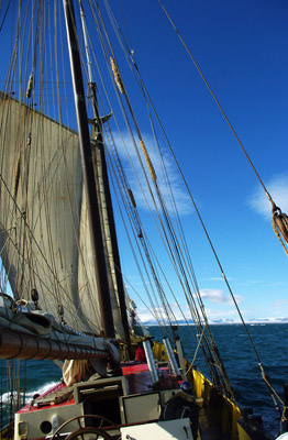 Ships and Boats, Svalbard - 7 - Noorderlicht