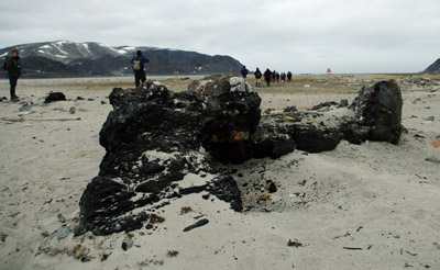 Smeerenburg, Amsterdam Island - Svalbard - 5