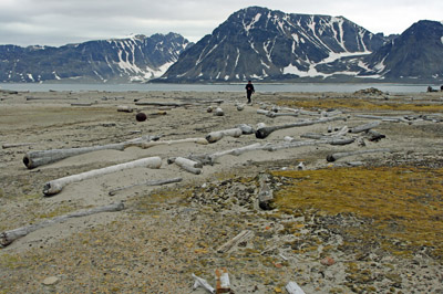 Smeerenburg, Amsterdam Island - Svalbard - 6