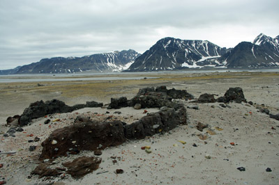 Smeerenburg, Amsterdam Island - Svalbard - 13