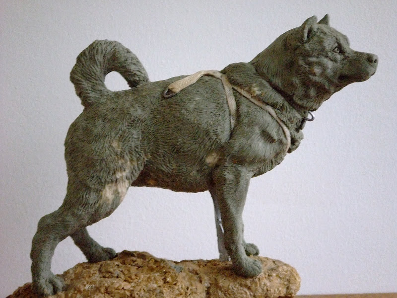 Antarctic Husky