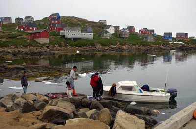 Kulusuk - Seal Hunt Butchery - East Greenland - 3<br />