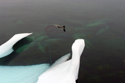 Kulusuk - Seal Store - East Greenland<br />