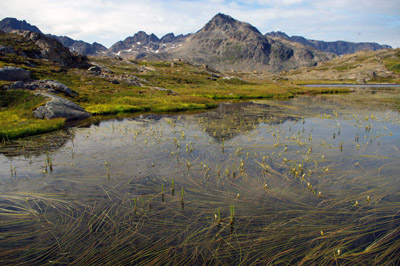 Ammassalik / Tasiilaq - Valley of the Flowers Lake 1 - East Greenland