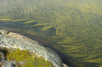 Ammassalik / Tasiilaq - Valley of the Flowers Lake 3 - East Greenland