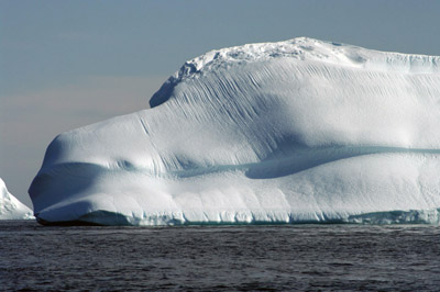 Iceberg 14 The Whaleberg - East Greenland