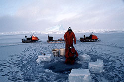 Diving, Preparing to Set a Rope for Fishing