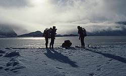 Diving, Ice Edge in factory Cove