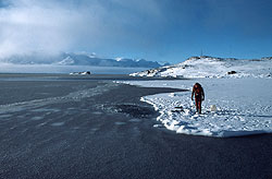 Diving, Ice Edge in factory Cove