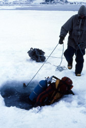 Diving, A Small Ice Berg