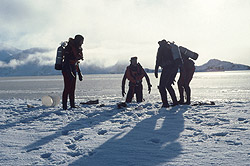 Diving, Ice Edge in factory Cove