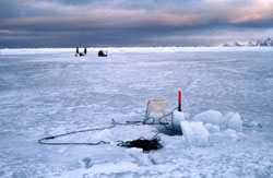 Retrieving a Net from Under the Ice