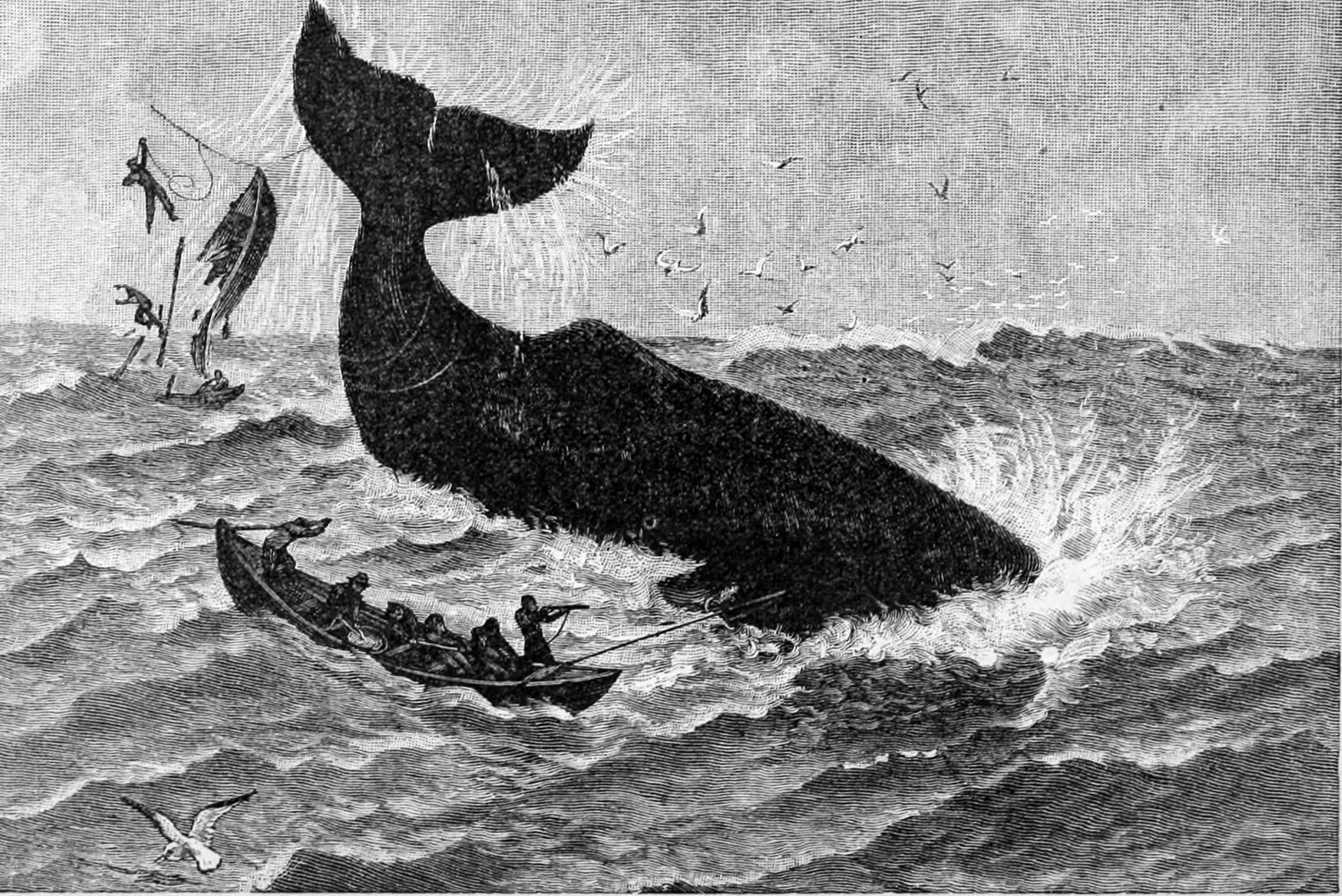 Whales and whaling