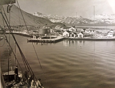 south georgia whaling 1947, 1948