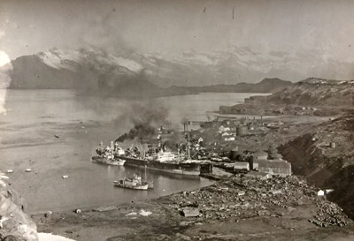 south georgia whaling 1947, 1948