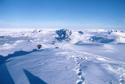 Signy Island Antarctica base 2a