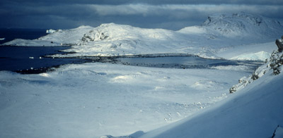 Signy Island Antarctica base 3a