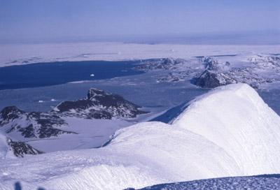 Signy Island Antarctica 1