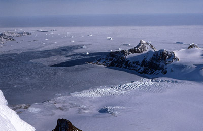 Signy Island Antarctica 4