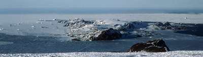 Signy Island Antarctica 6