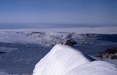 Signy Island Antarctica 8