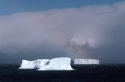 Iceberg 20