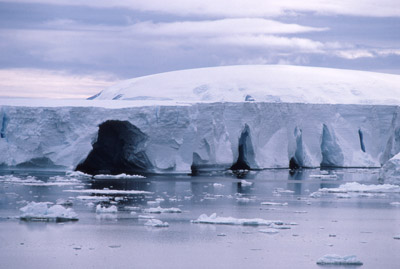 Iceberg 24