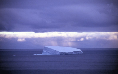 Iceberg 7