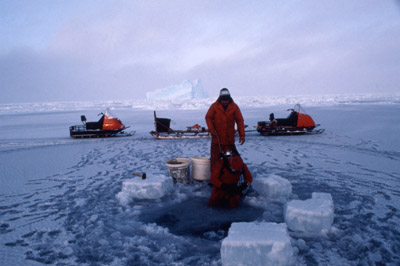 Antarctic Ice Diving 11