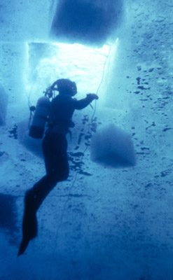 Antarctic Ice Diving 12