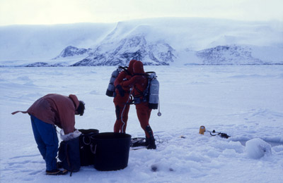 Antarctic Ice Diving 14