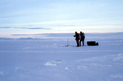 Antarctic Ice Diving 15