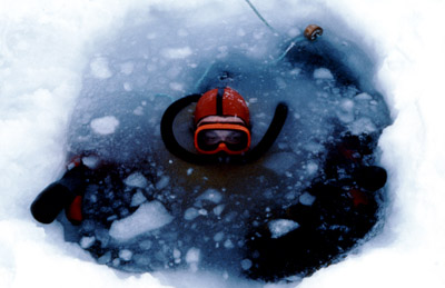 Antarctic Ice Diving 16
