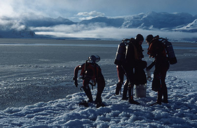 Antarctic Ice Diving 17