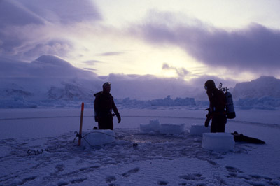 Antarctic Ice Diving 19