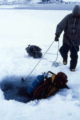 Antarctic Ice Diving 2