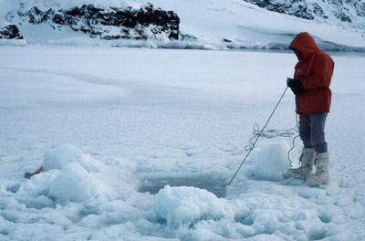 Antarctic Ice Diving 23