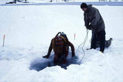 Antarctic Ice Diving 24