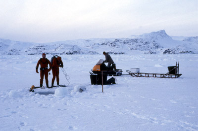 Antarctic Ice Diving 9