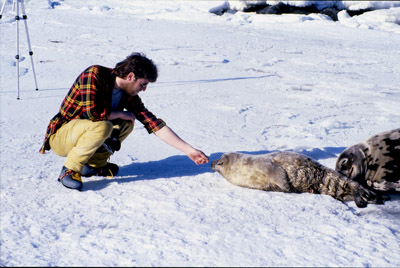Weddell Seal People
