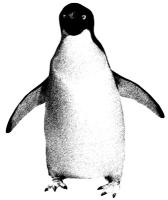 Penguin - Lone Adelie, black and white line