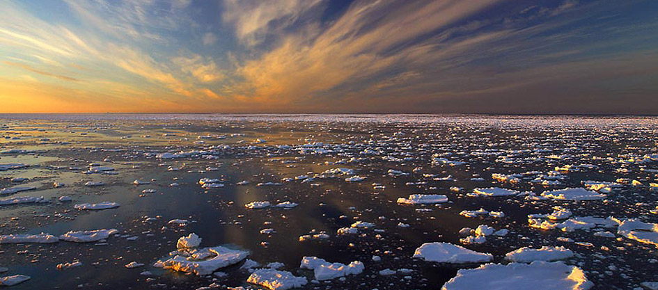 antarctica cruise